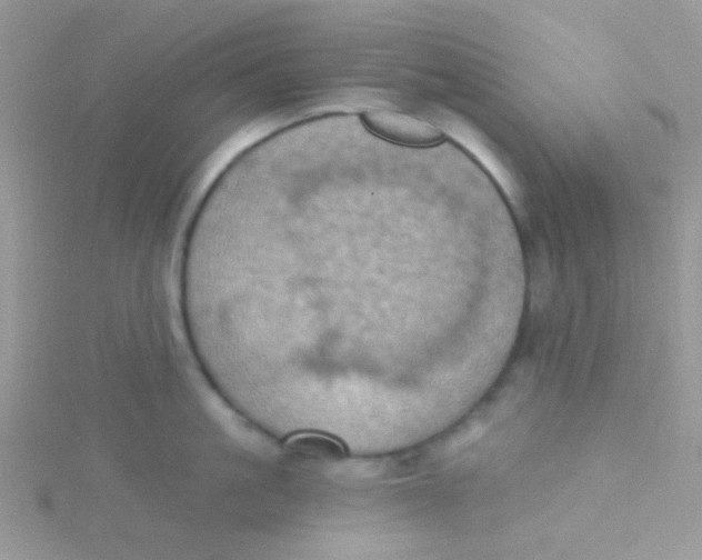 X0000115320861200911231349