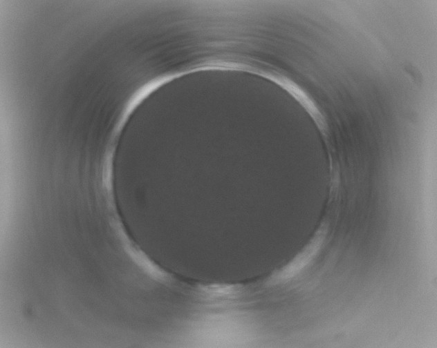 X0000115320862200911231349