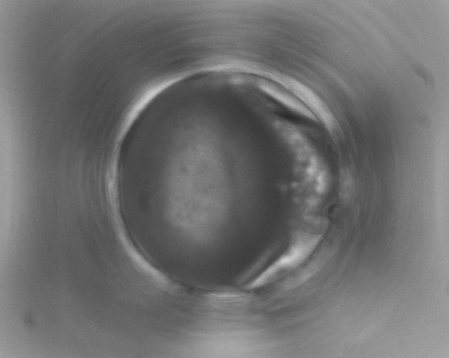 X0000115320863200911231349