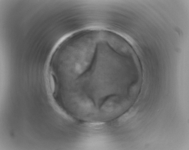 X0000115320864200911231349