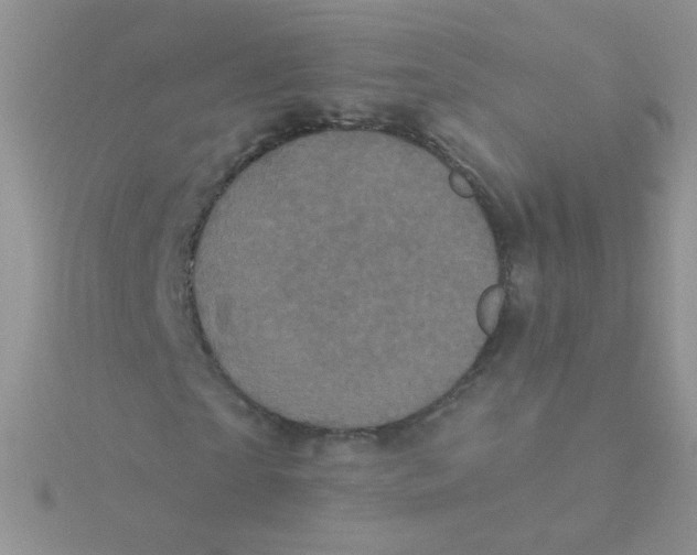 X0000115320865200911231348