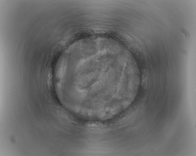 X0000115320866200911231348