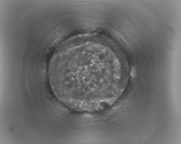 X0000115320867200911231348