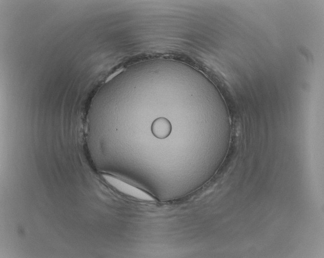 X0000115320868200911231348