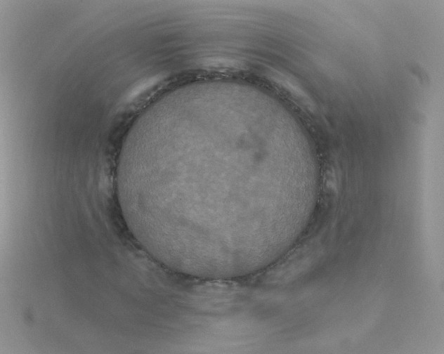 X0000115320869200911231348