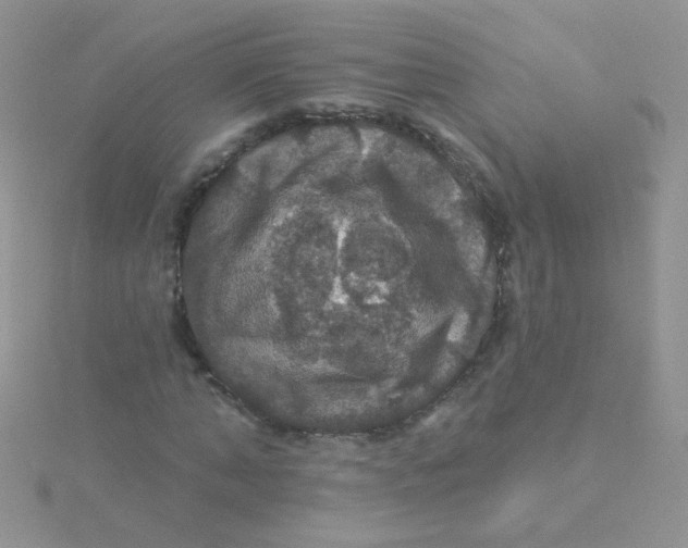 X0000115320870200911231348