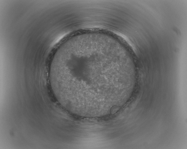 X0000115320871200911231348