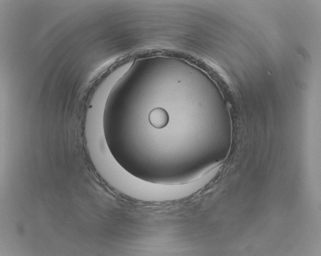 X0000115320872200911231348