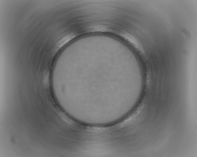 X0000115320873200911231348