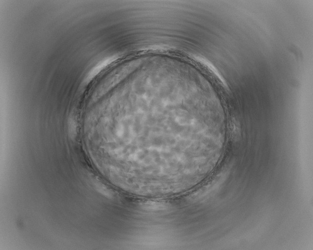 X0000115320874200911231348