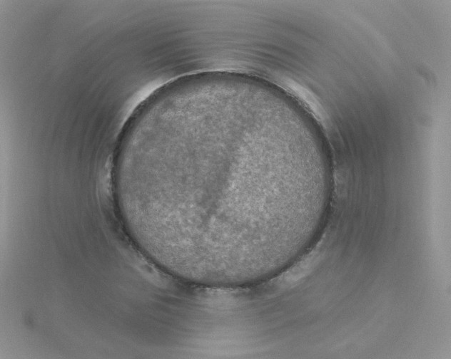 X0000115320875200911231348