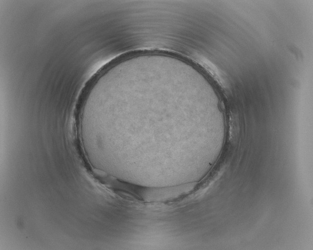 X0000115320876200911231348