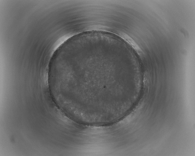 X0000115320877200911231348