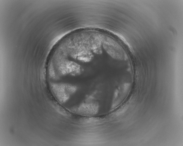 X0000115320879200911231348