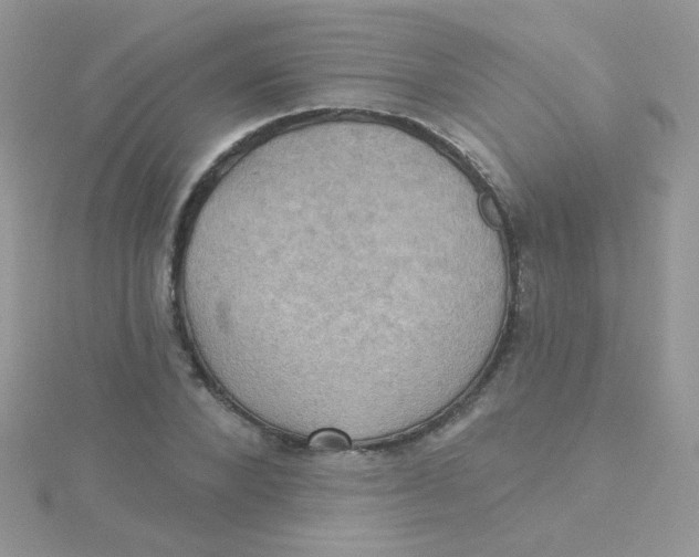 X0000115320880200911231348