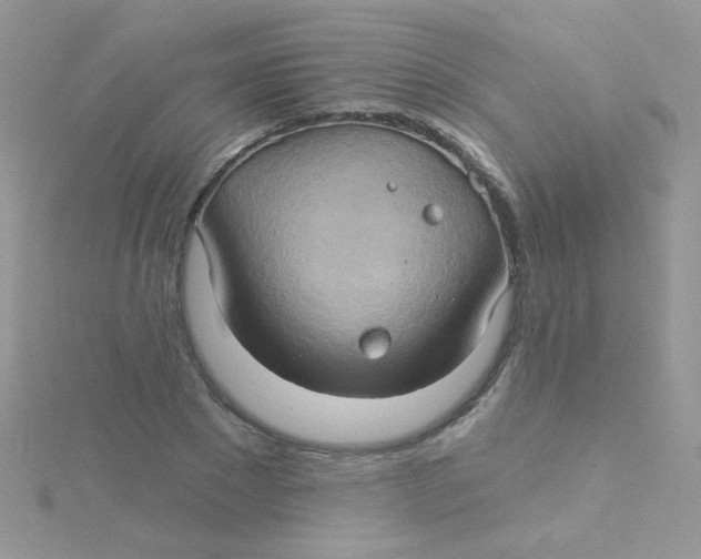 X0000115320881200911231348