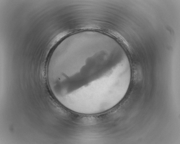 X0000115320882200911231348