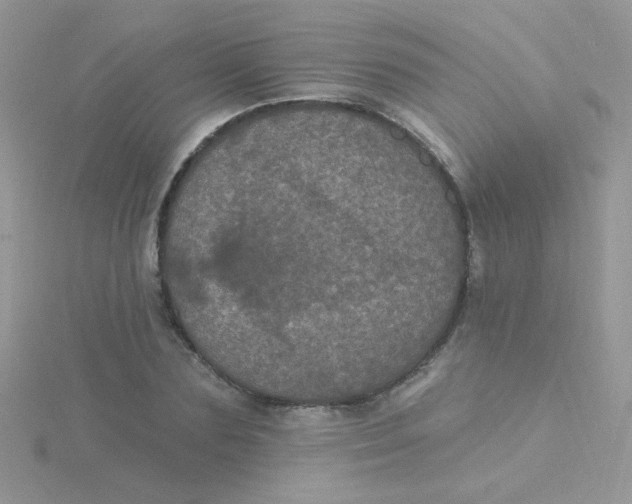 X0000115320883200911231348