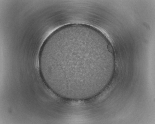 X0000115320887200911231348