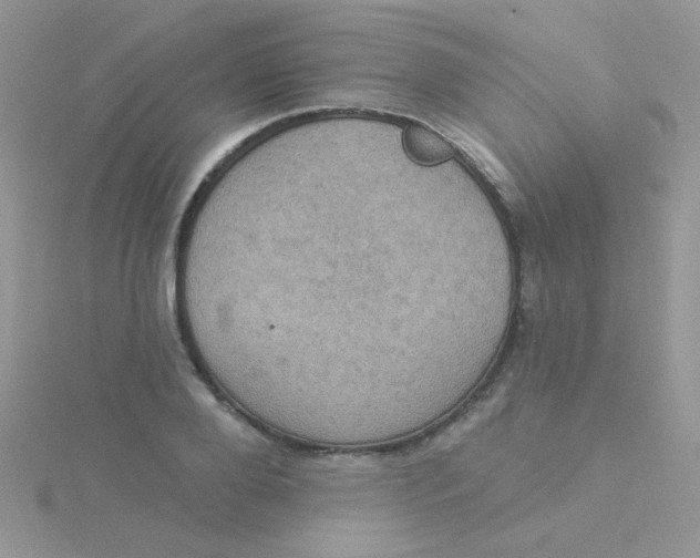 X0000115320888200911231348