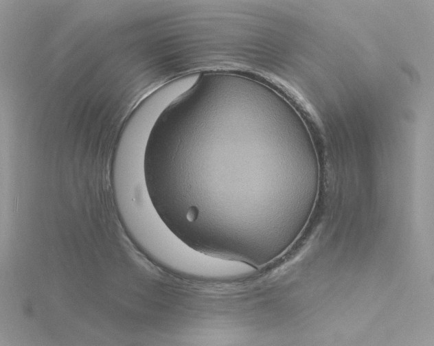 X0000115320889200911231348