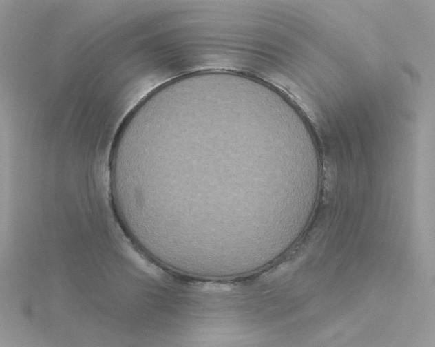 X0000115320890200911231348