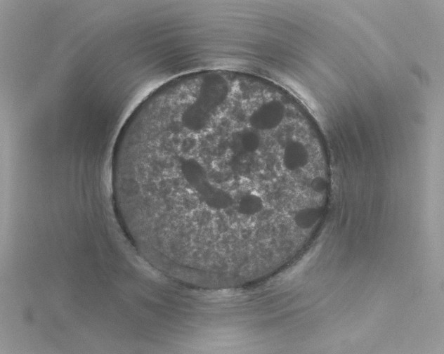 X0000115320891200911231348