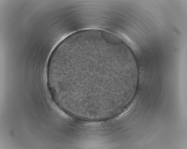 X0000115320892200911231348