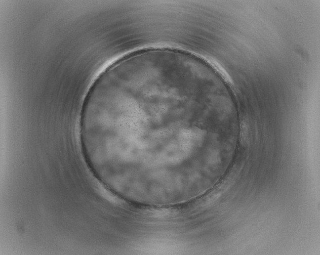 X0000115320895200911231348