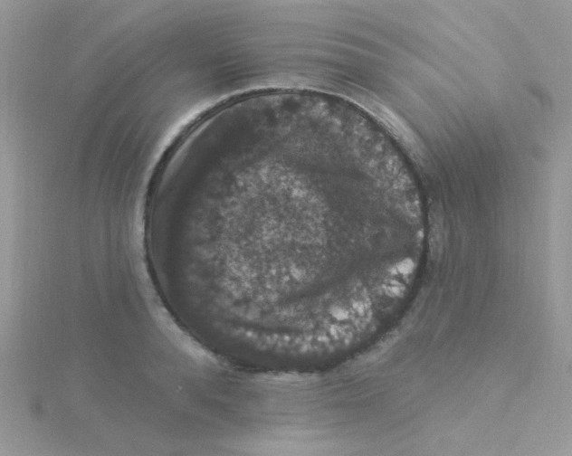 X0000115320896200911231348