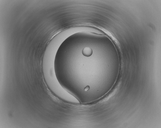 X0000115320897200911231348