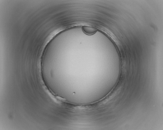 X0000115320898200911231348