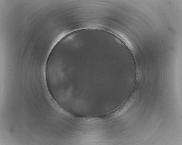 X0000115320899200911231348