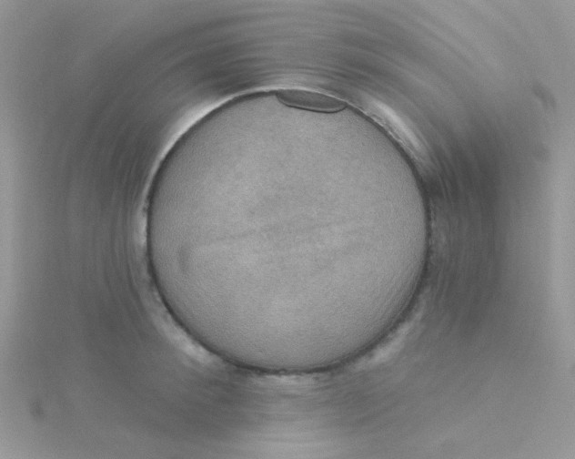 X0000115320900200911231348