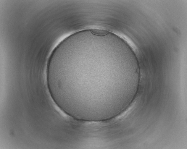 X0000115320902200911231348