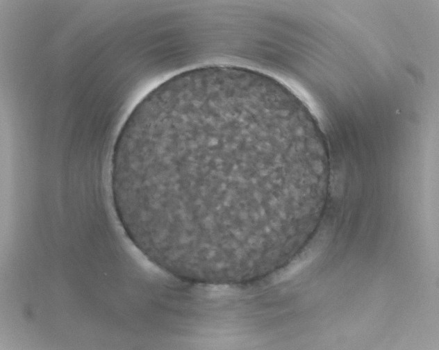 X0000115320903200911231348