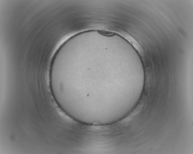 X0000115320904200911231348