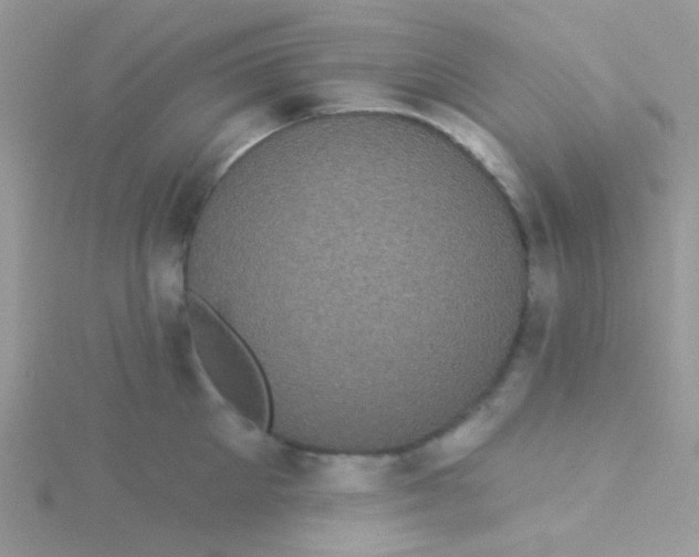 X0000115320905200911231348