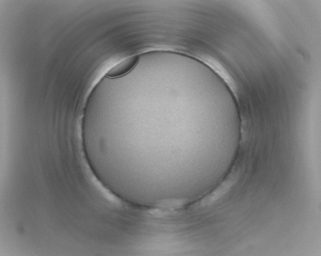 X0000115320906200911231348