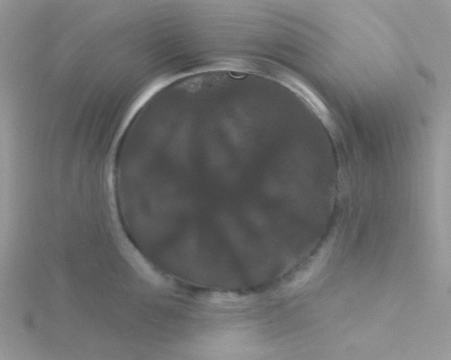 X0000115320907200911231348