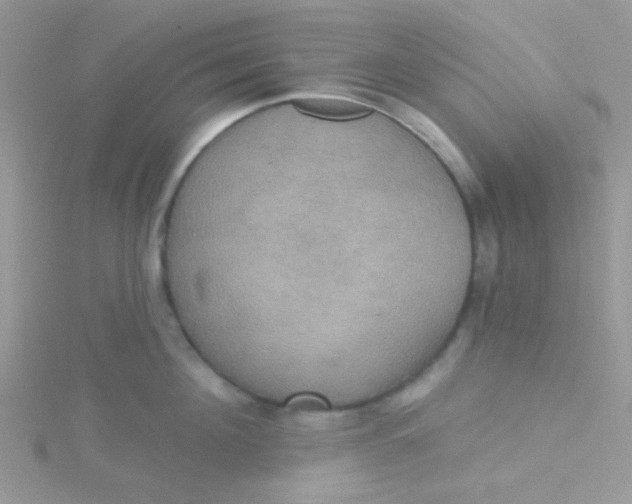 X0000115320908200911231348