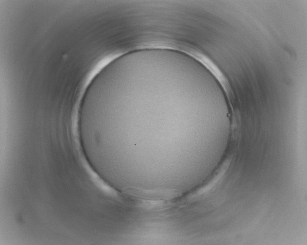 X0000115320909200911231348