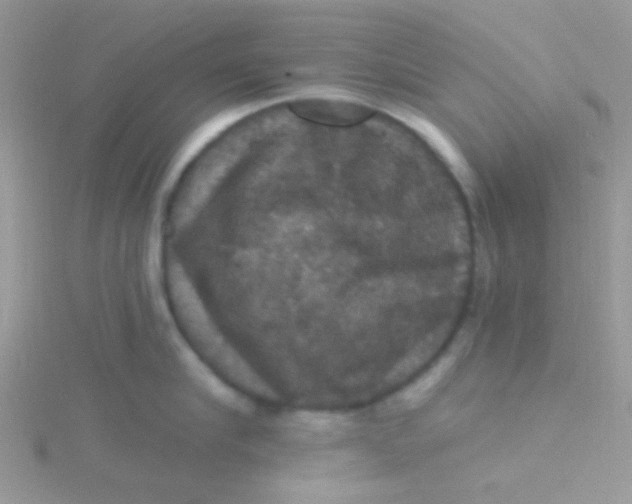 X0000115320910200911231348