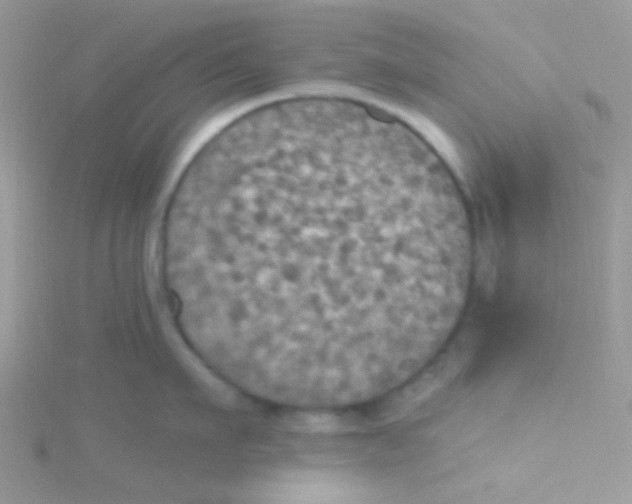 X0000115320911200911231348