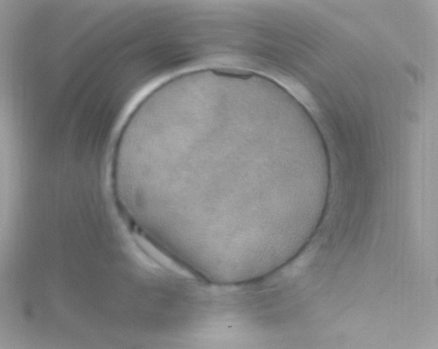 X0000115320912200911231348