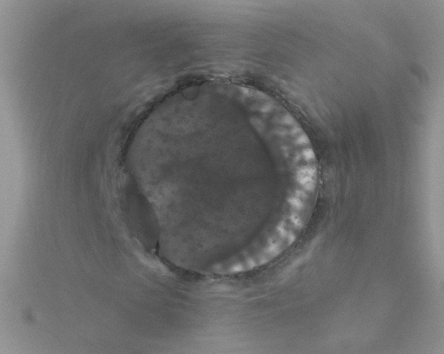 X0000115320913200911231347