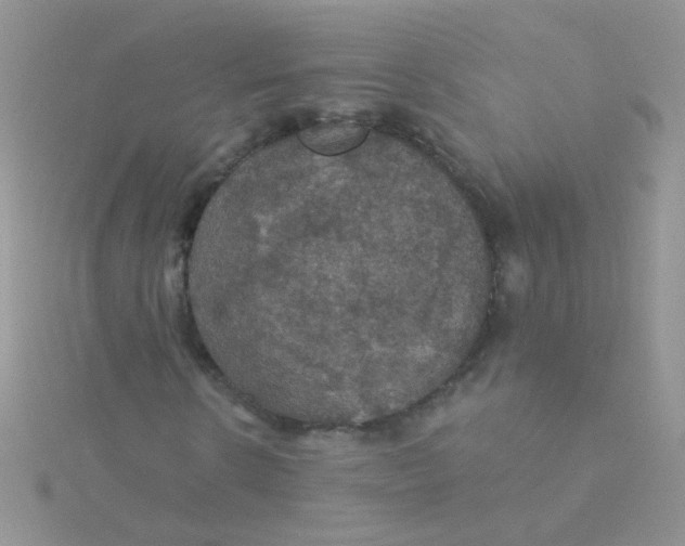 X0000115320914200911231347