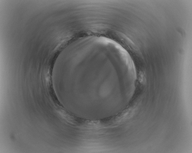 X0000115320915200911231347