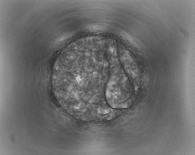 X0000115320917200911231347