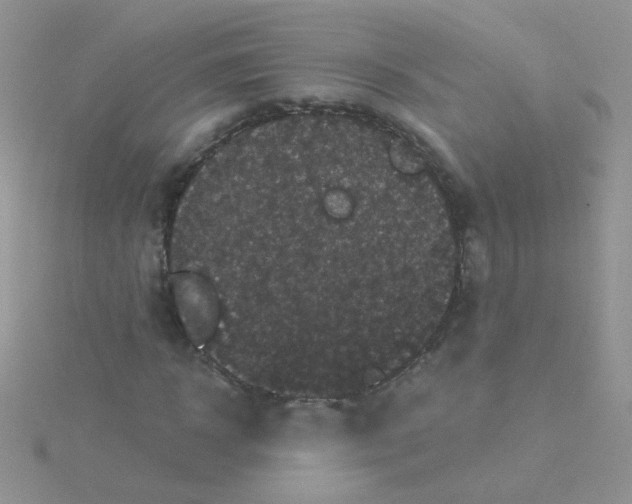 X0000115320918200911231347